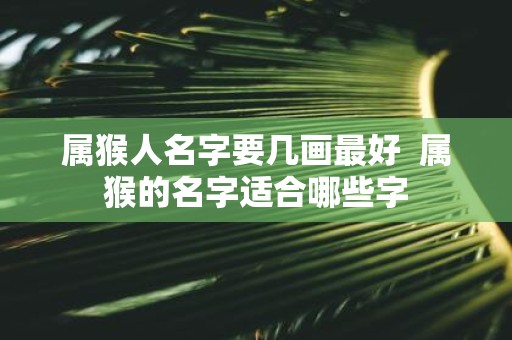 属猴人名字要几画最好 属猴的名字适合哪些字
