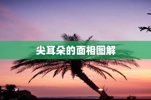 尖耳朵的面相图解