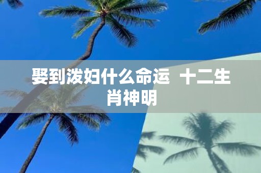 娶到泼妇什么命运 十二生肖神明