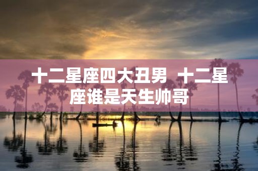 十二星座四大丑男 十二星座谁是天生帅哥
