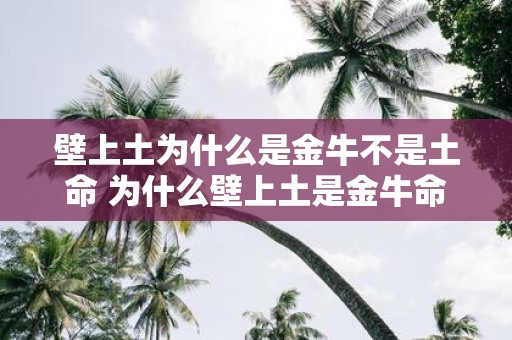 壁上土为什么是金牛不是土命 为什么壁上土是金牛命