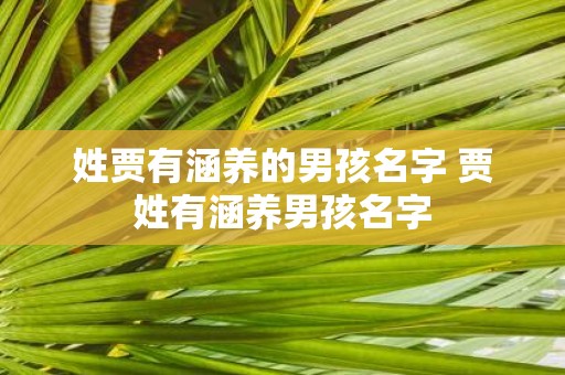 姓贾有涵养的男孩名字 贾姓有涵养男孩名字