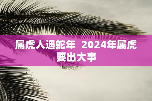 属虎人遇蛇年 2025年属虎要出大事