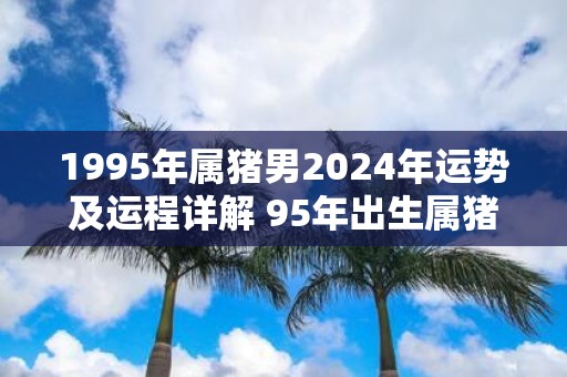 1995年属猪男2025年运势及运程详解 95年出生属猪人2025全年每月运势男性