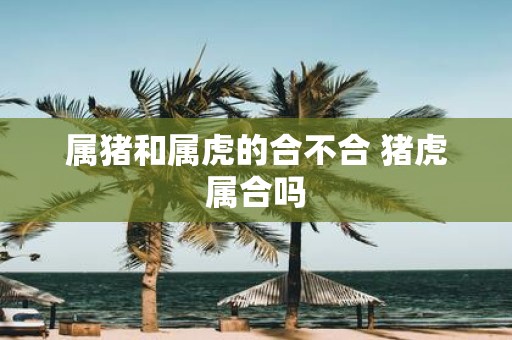 属猪和属虎的合不合 猪虎属合吗