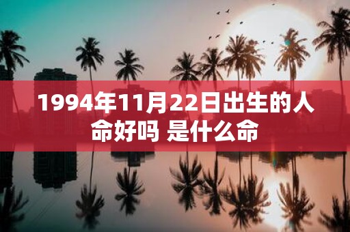 1994年11月22日出生的人命好吗 是什么命