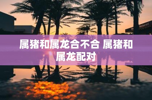 属猪和属龙合不合 属猪和属龙配对