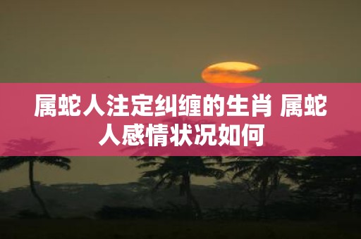 属蛇人注定纠缠的生肖 属蛇人感情状况如何