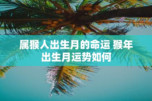 属猴人出生月的命运 猴年出生月运势如何