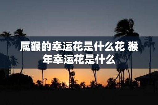 属猴的幸运花是什么花 猴年幸运花是什么