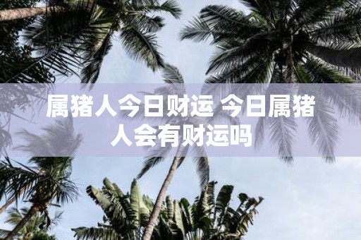 属猪人今日财运 今日属猪人会有财运吗