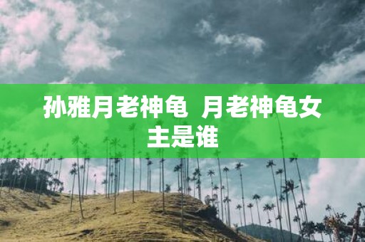 孙雅月老神龟 月老神龟女主是谁