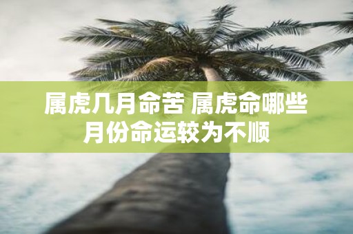 属虎几月命苦 属虎命哪些月份命运较为不顺
