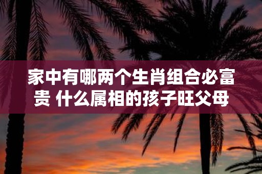家中有哪两个生肖组合必富贵 什么属相的孩子旺父母