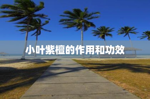 小叶紫檀的作用和功效