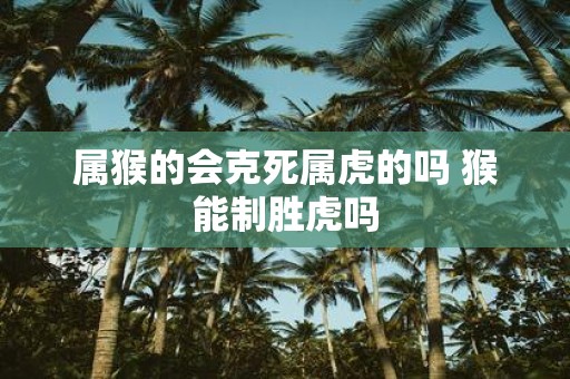属猴的会克死属虎的吗 猴能制胜虎吗