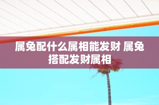 属兔配什么属相能发财 属兔搭配发财属相