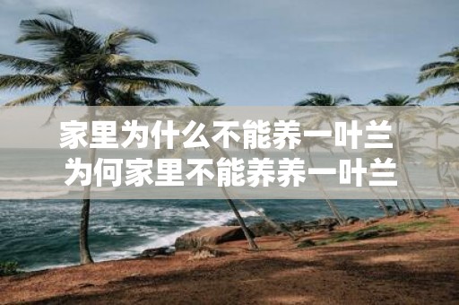 家里为什么不能养一叶兰 为何家里不能养养一叶兰