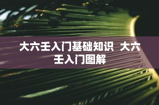 大六壬入门基础知识 大六壬入门图解