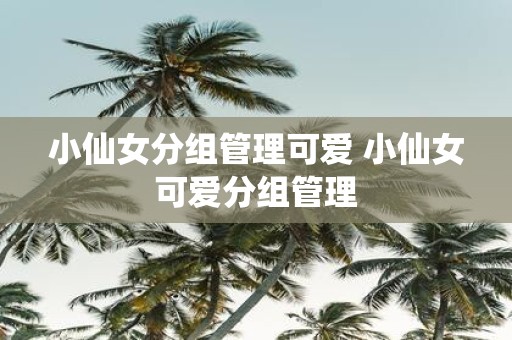 小仙女分组管理可爱 小仙女可爱分组管理