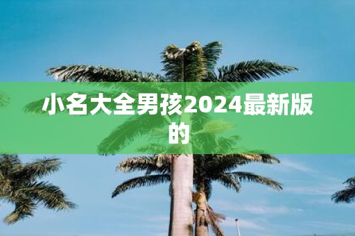 小名大全男孩2025最新版的