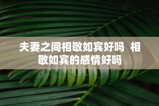 夫妻之间相敬如宾好吗 相敬如宾的感情好吗