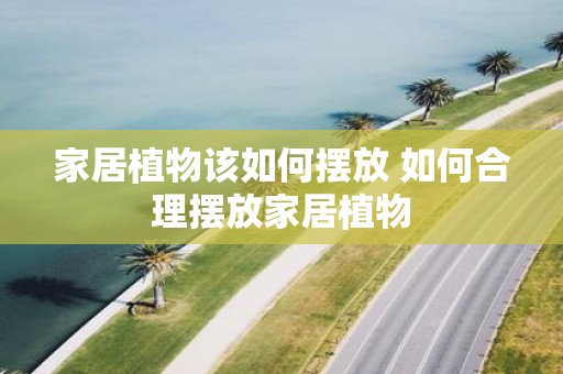 家居植物该如何摆放 如何合理摆放家居植物