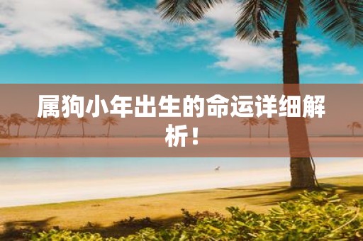 属狗小年出生的命运详细解析！