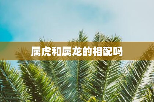 属虎和属龙的相配吗