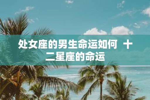 处女座的男生命运如何 十二星座的命运
