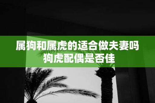 属狗和属虎的适合做夫妻吗 狗虎配偶是否佳