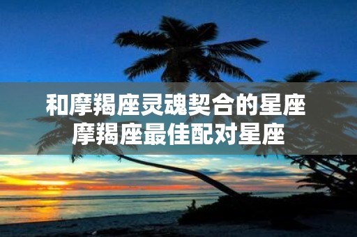 和摩羯座灵魂契合的星座 摩羯座最佳配对星座
