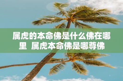 属虎的本命佛是什么佛在哪里 属虎本命佛是哪尊佛