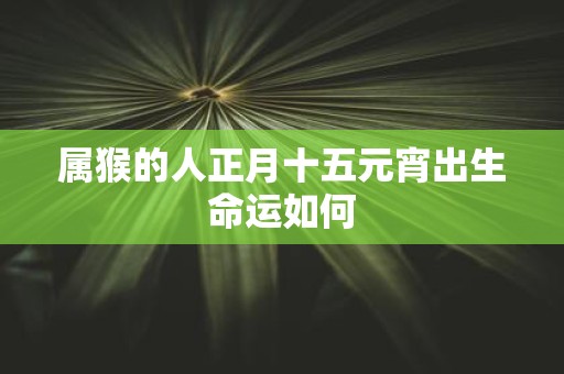 属猴的人正月十五元宵出生命运如何