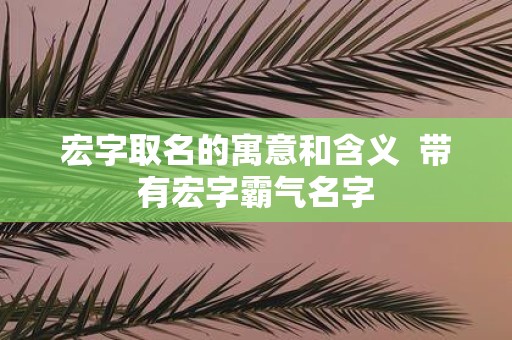 宏字取名的寓意和含义 带有宏字霸气名字
