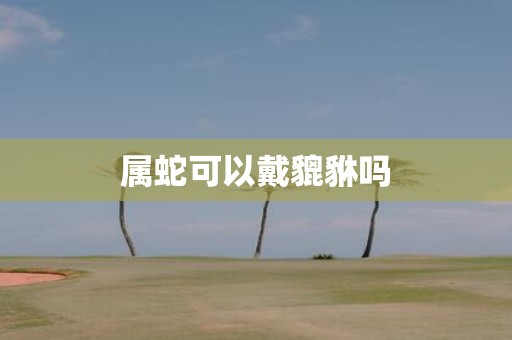 属蛇可以戴貔貅吗