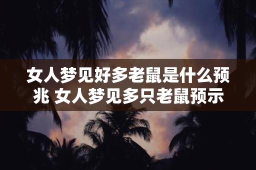 女人梦见好多老鼠是什么预兆 女人梦见多只老鼠预示什么
