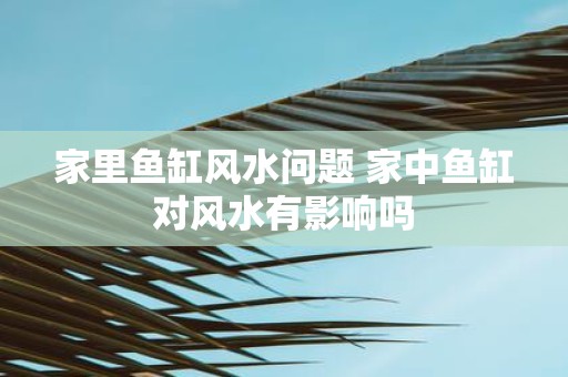 家里鱼缸风水问题 家中鱼缸对风水有影响吗