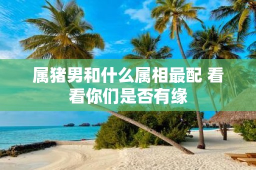 属猪男和什么属相最配 看看你们是否有缘