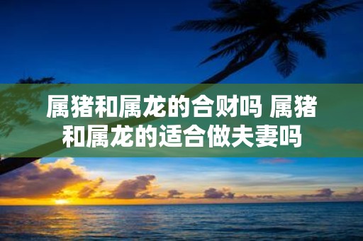 属猪和属龙的合财吗 属猪和属龙的适合做夫妻吗