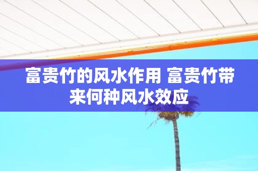 富贵竹的风水作用 富贵竹带来何种风水效应