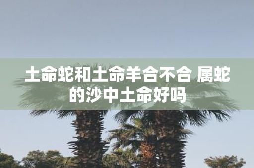 土命蛇和土命羊合不合 属蛇的沙中土命好吗