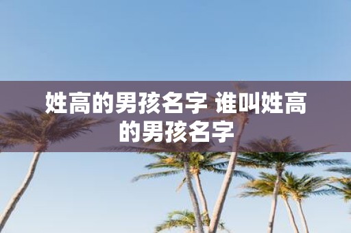 姓高的男孩名字 谁叫姓高的男孩名字