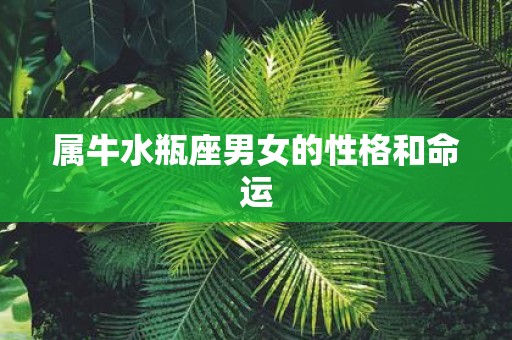 属牛水瓶座男女的性格和命运