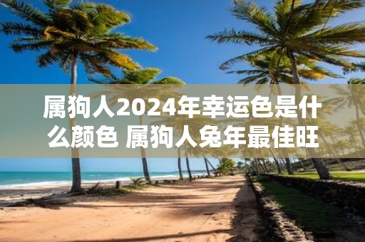属狗人2025年幸运色是什么颜色 属狗人蛇年最佳旺运颜色