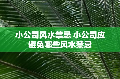 小公司风水禁忌 小公司应避免哪些风水禁忌