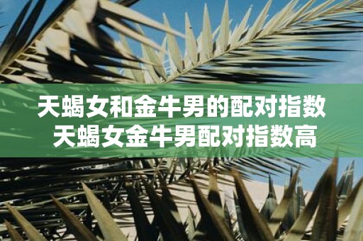 天蝎女和金牛男的配对指数 天蝎女金牛男配对指数高吗