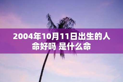 2004年10月11日出生的人命好吗 是什么命