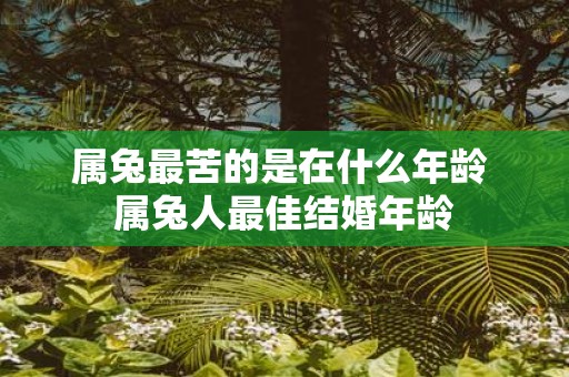属兔最苦的是在什么年龄 属兔人最佳结婚年龄