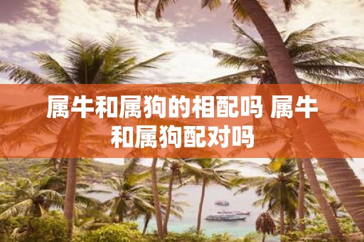 属牛和属狗的相配吗 属牛和属狗配对吗